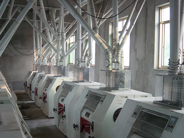 220T Wheat Flour Mill Machine