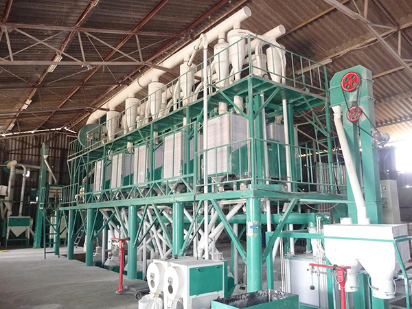 50T Wheat Flour Mill Machine 